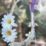 Daisies Hair Crown