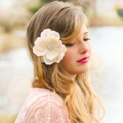 Magnolia