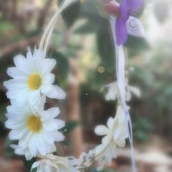daisies hair crown